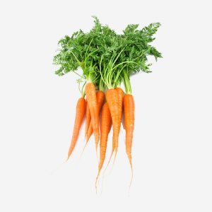 Garden-Carrots