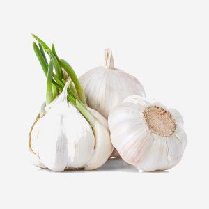 garlic-white